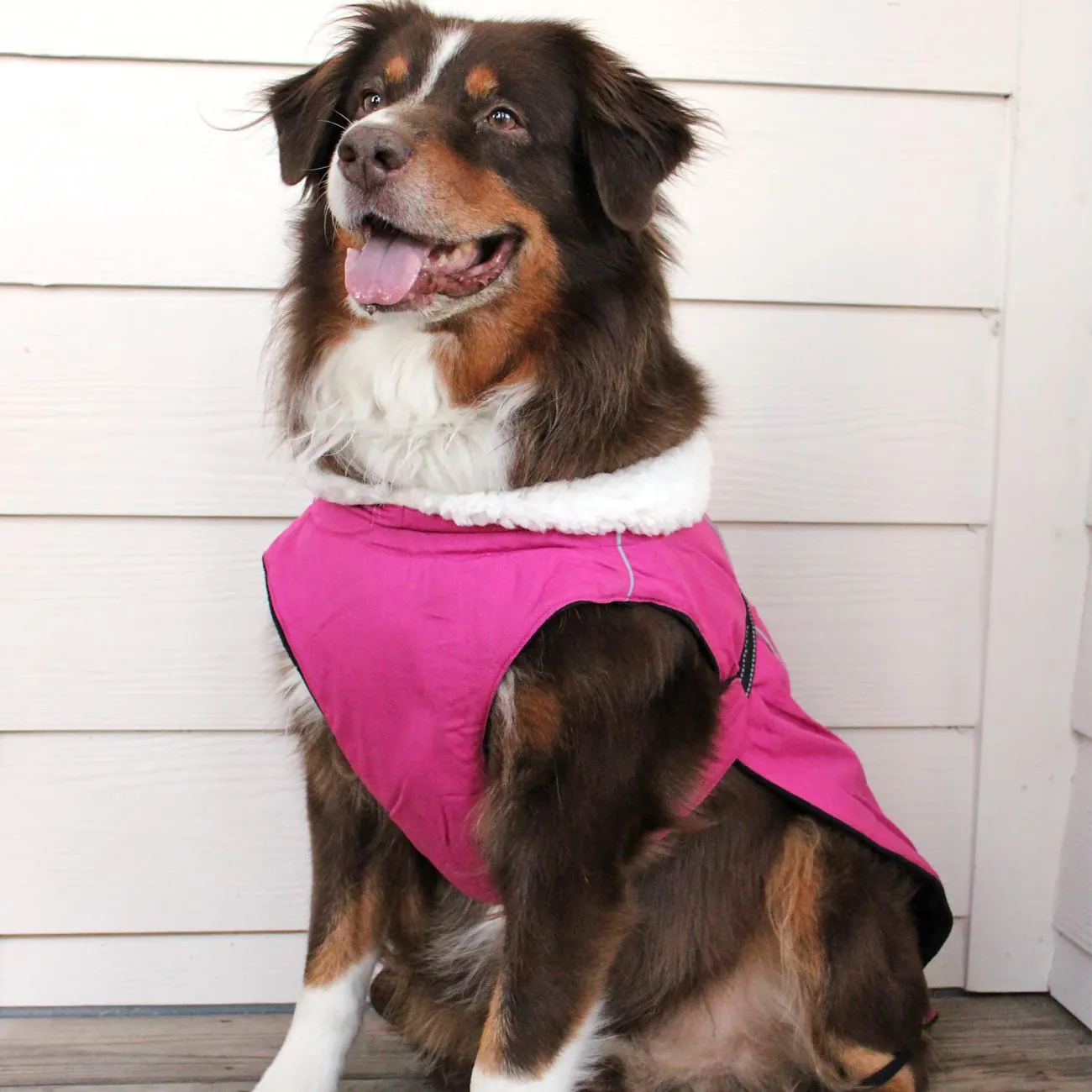 Alpine Tuf Terrain Dog Winter Coats