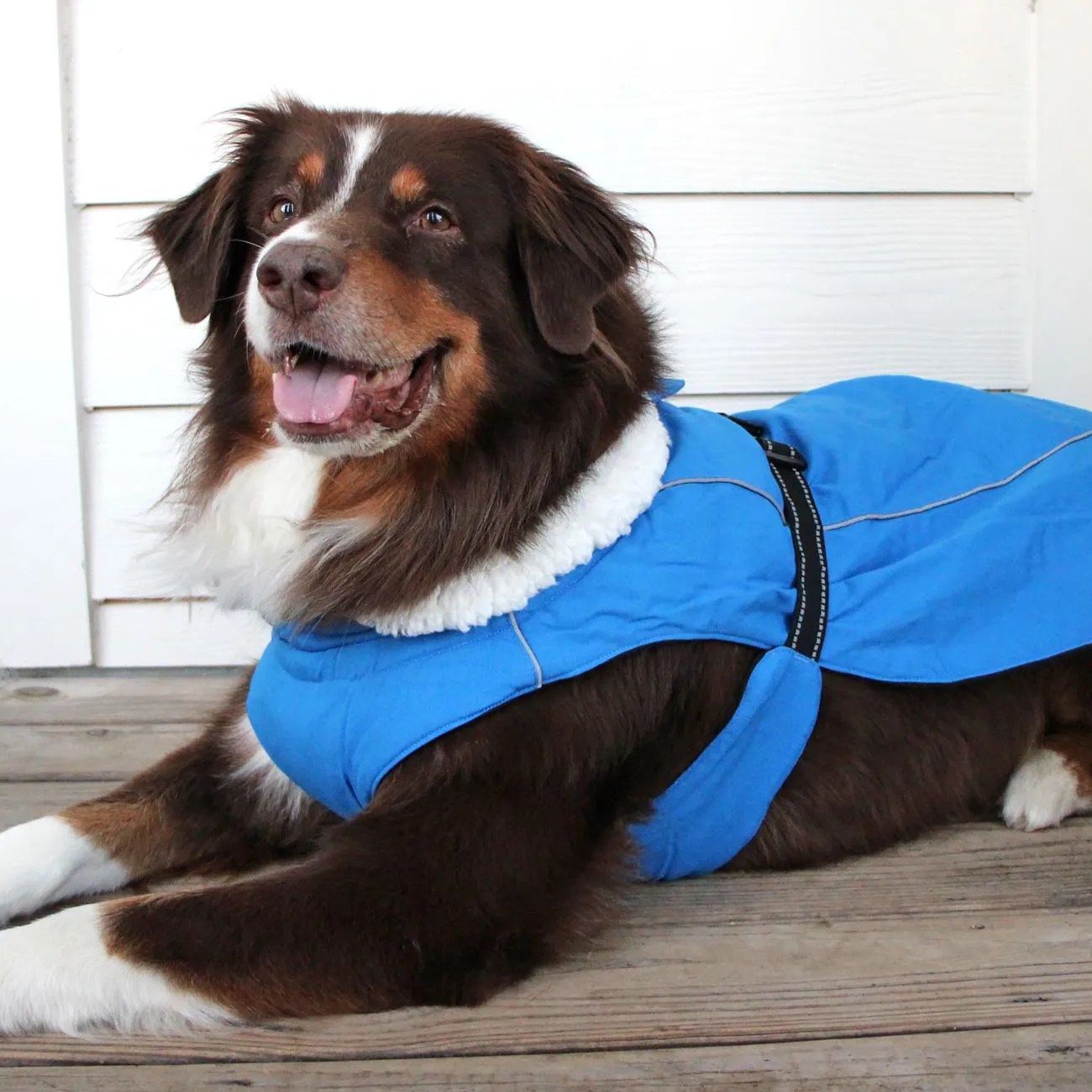 Alpine Tuf Terrain Dog Winter Coats