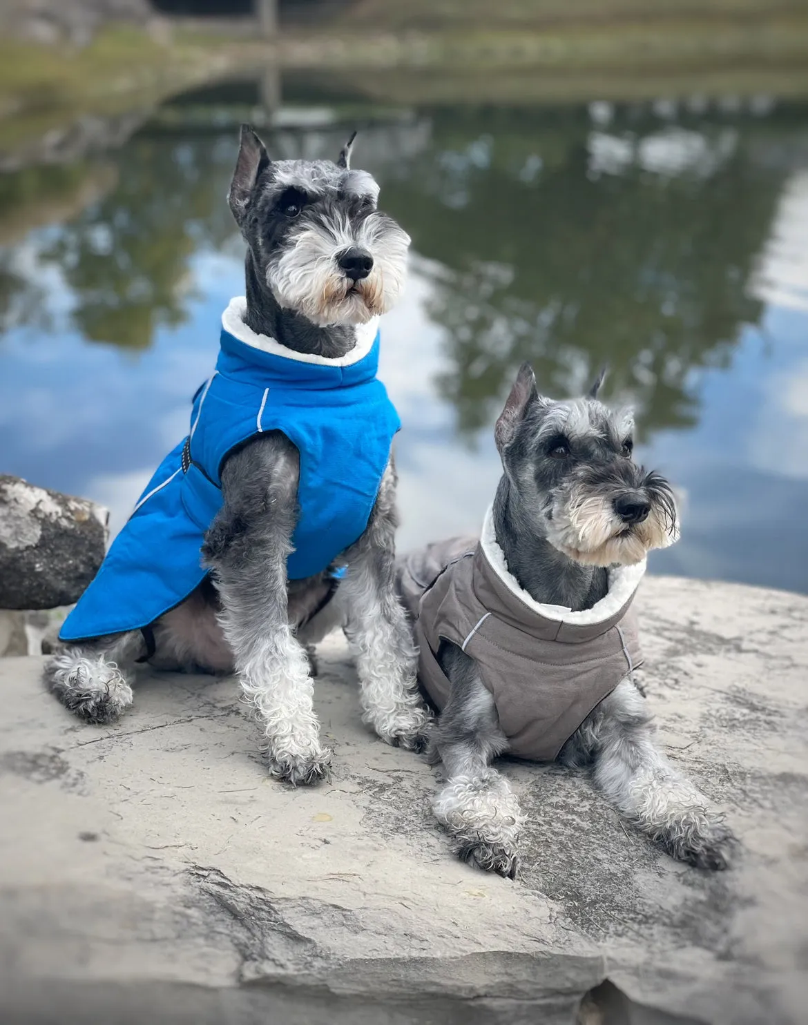 Alpine Tuf Terrain Dog Winter Coats