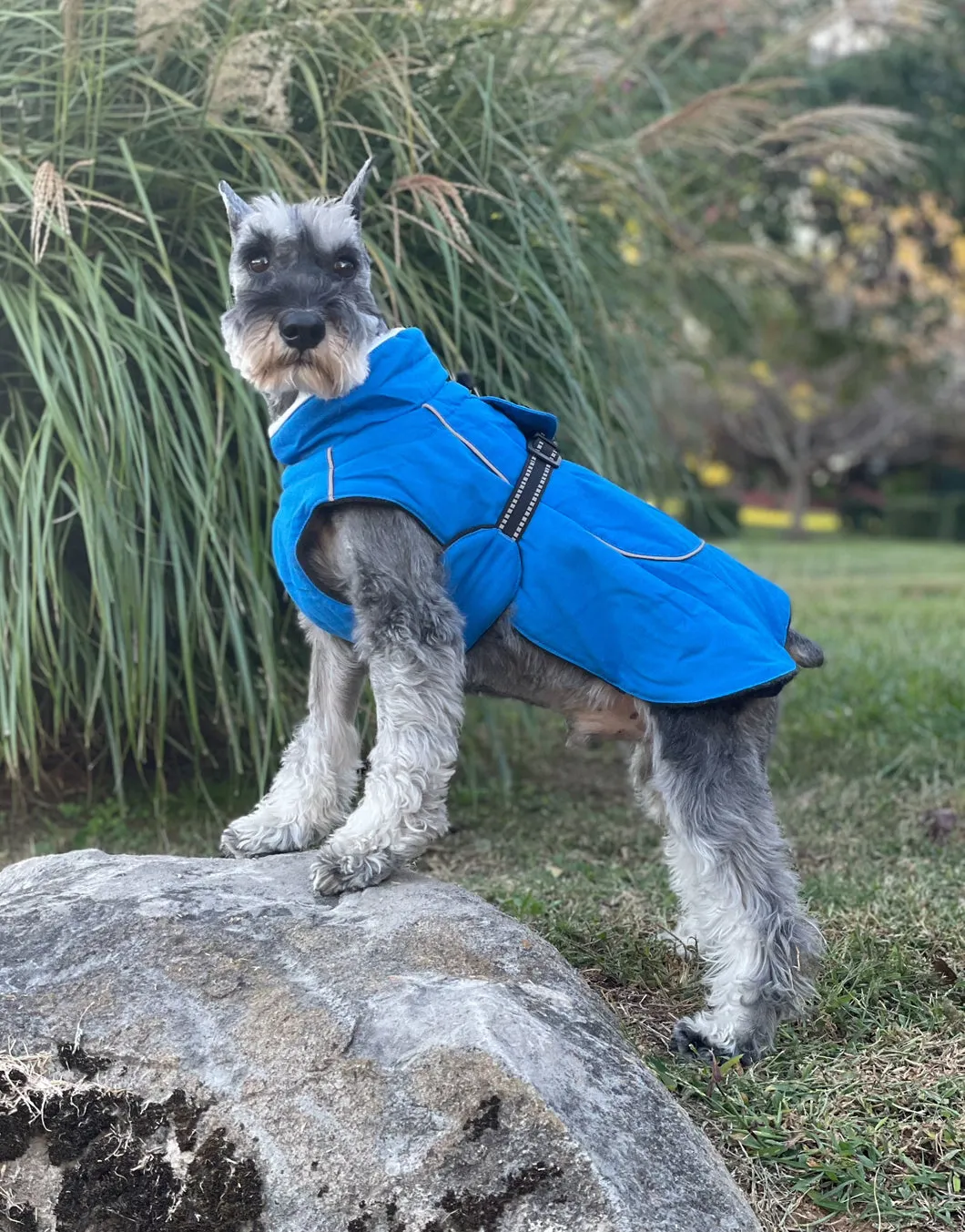 Alpine Tuf Terrain Dog Winter Coats