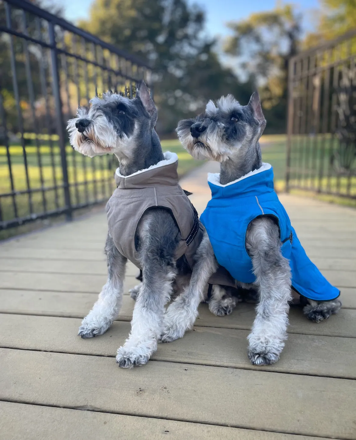 Alpine Tuf Terrain Dog Winter Coats