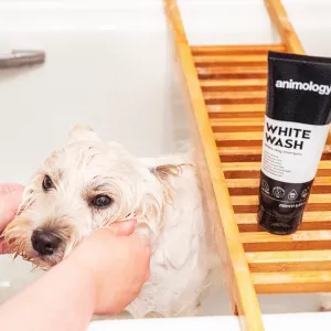 Animology White Wash Dog Shampoo