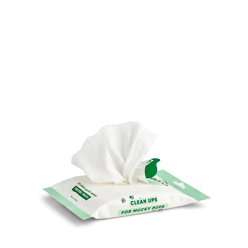 Bamboo Travel Wipes | Unscented