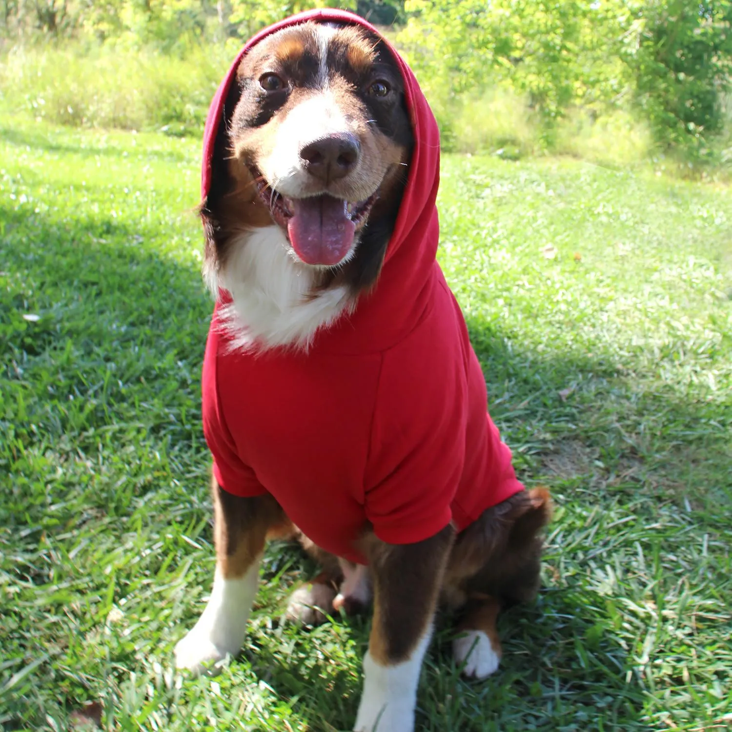 Dog Flex-fit Hoodies - Red Large (Customer Return)