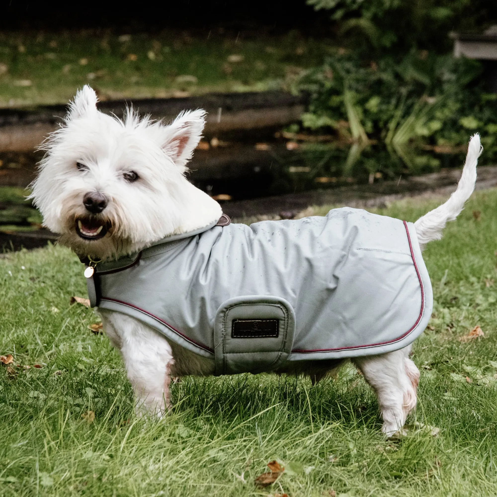 Kentucky Dogwear Waterproof Dog Coat - Dusty Blue